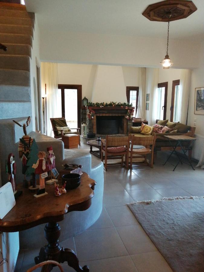 Willa Delux House In Tsangarada Tsagarada Zewnętrze zdjęcie