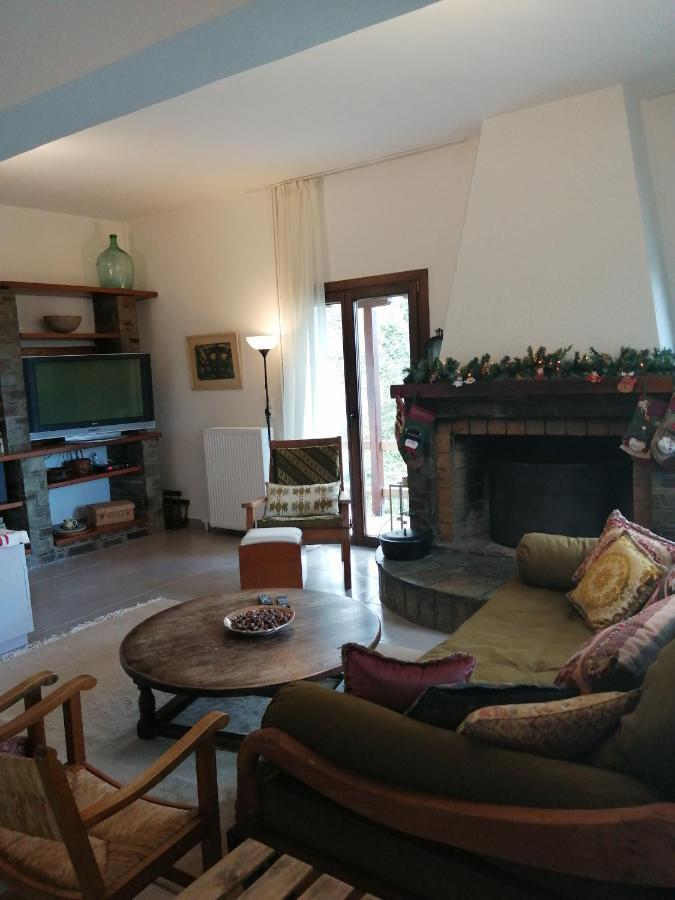 Willa Delux House In Tsangarada Tsagarada Zewnętrze zdjęcie