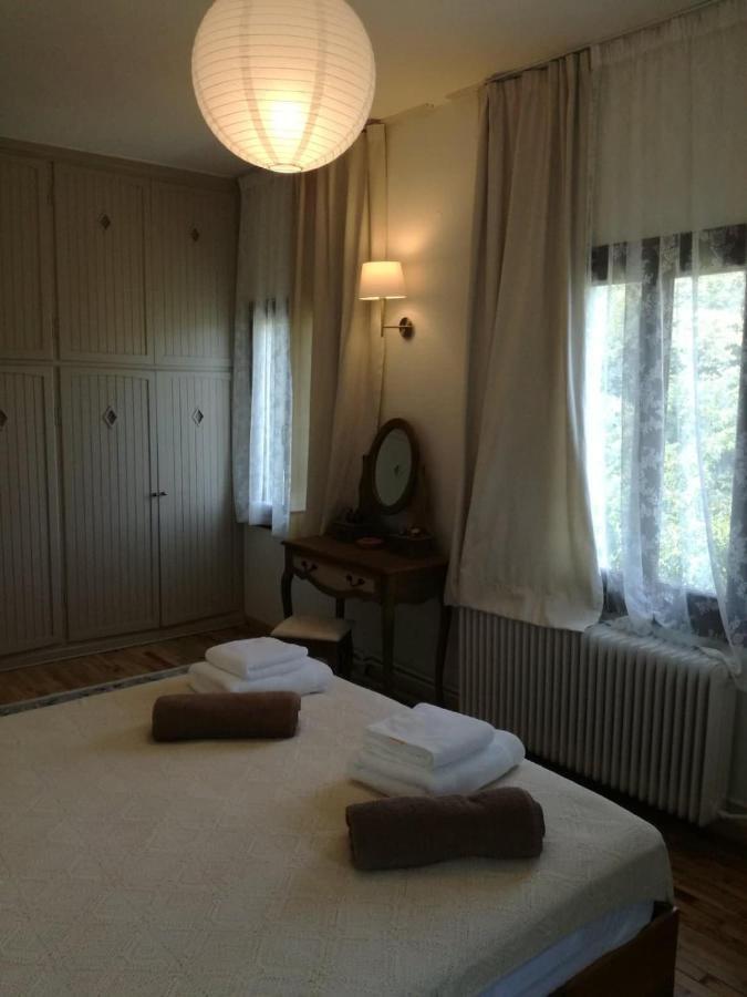 Willa Delux House In Tsangarada Tsagarada Zewnętrze zdjęcie