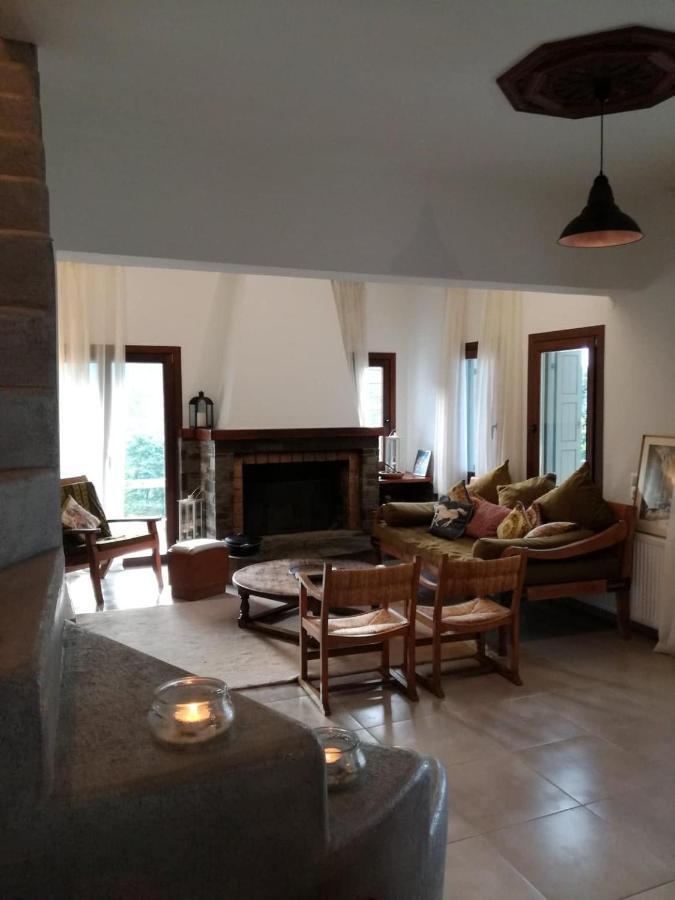 Willa Delux House In Tsangarada Tsagarada Zewnętrze zdjęcie