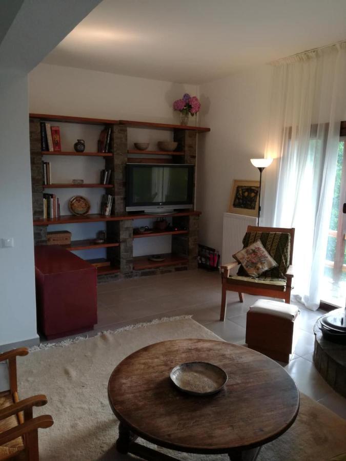 Willa Delux House In Tsangarada Tsagarada Zewnętrze zdjęcie