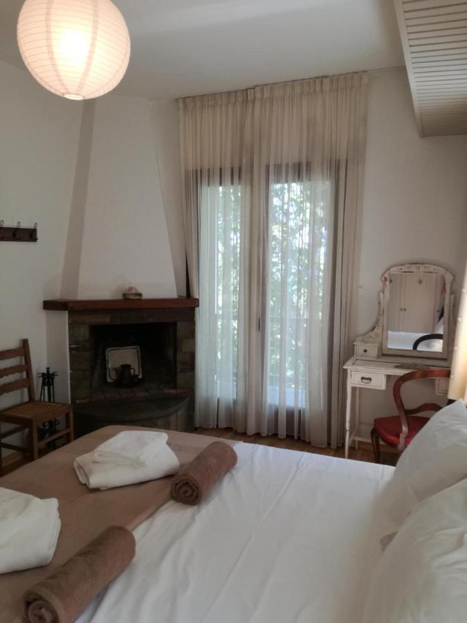 Willa Delux House In Tsangarada Tsagarada Zewnętrze zdjęcie
